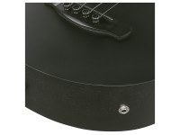 Ibanez AEGB420 Black Out Ibanez AEGB420 Black Out